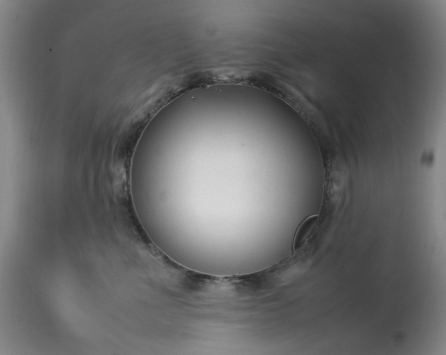 X0000113210523200909241427