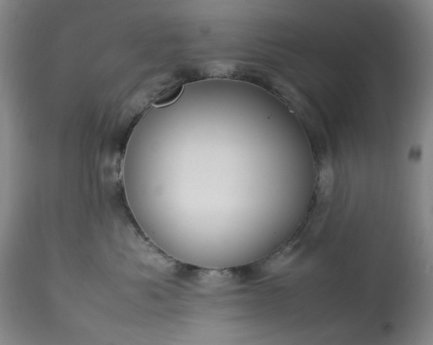 X0000113210525200909241427