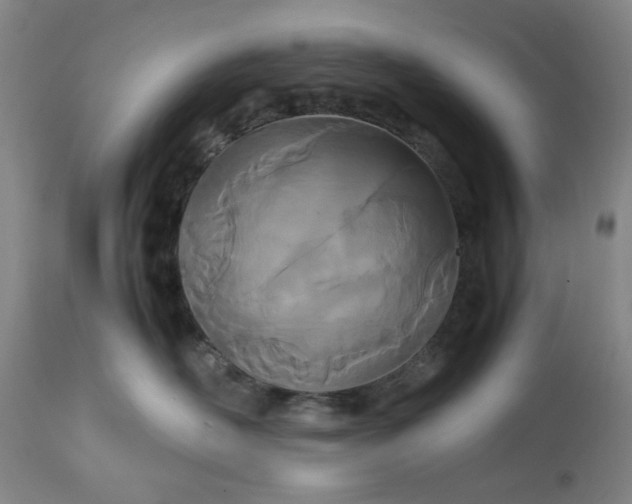 X0000113210526200909241427