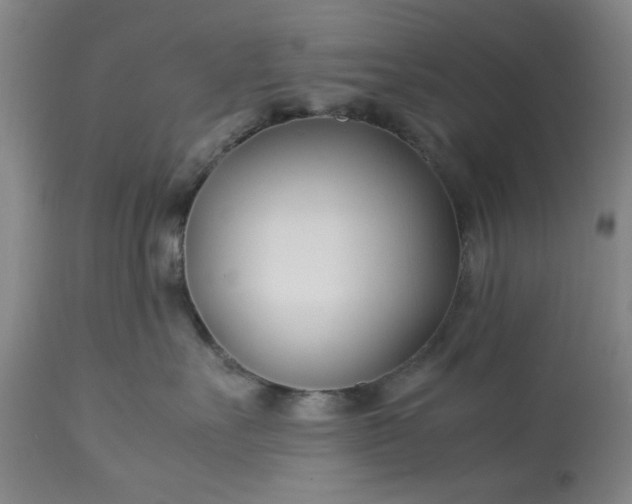 X0000113210527200909241427