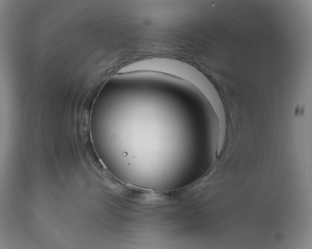 X0000113210528200909241427