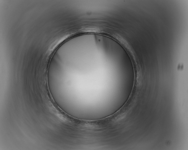 X0000113210529200909241426