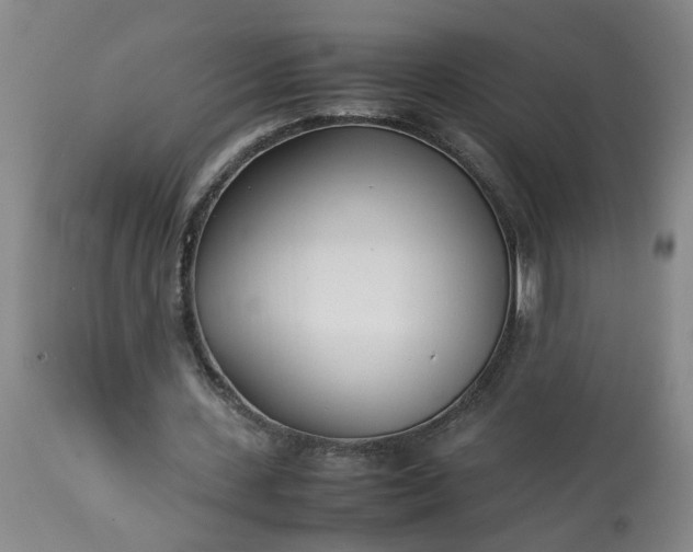 X0000113210531200909241426