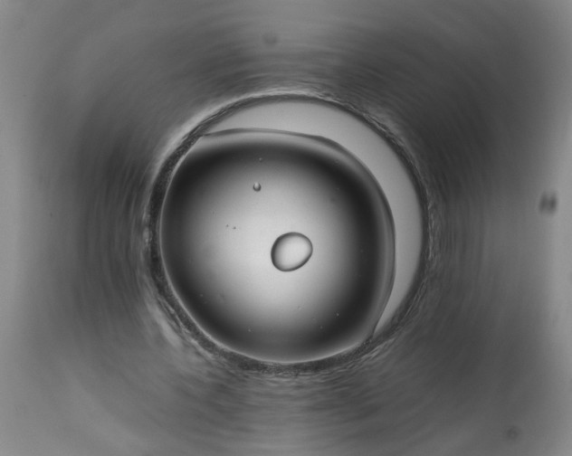 X0000113210532200909241426