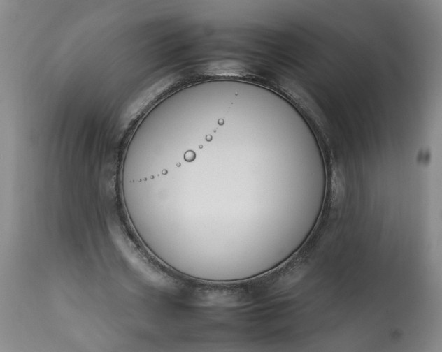 X0000113210533200909241426