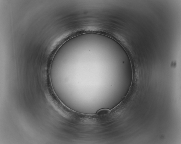 X0000113210535200909241426