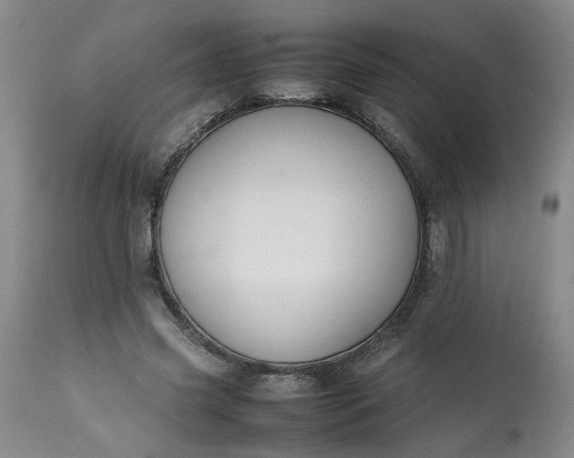 X0000113210541200909241426