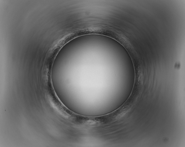 X0000113210542200909241426