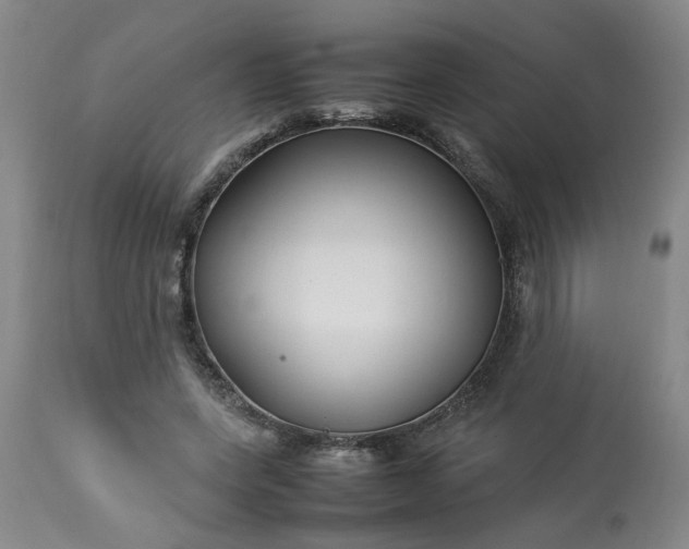 X0000113210543200909241426