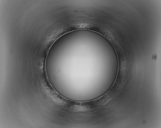 X0000113210545200909241426