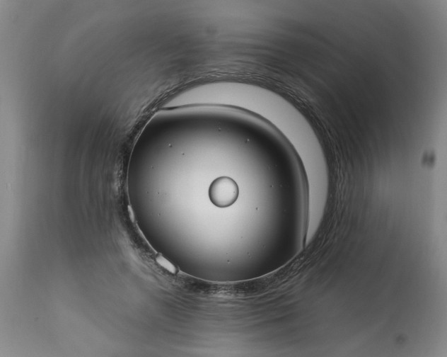 X0000113210546200909241426