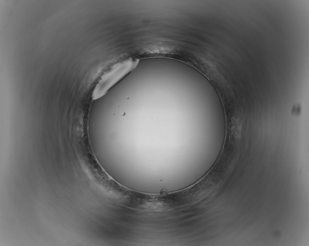 X0000113210547200909241426