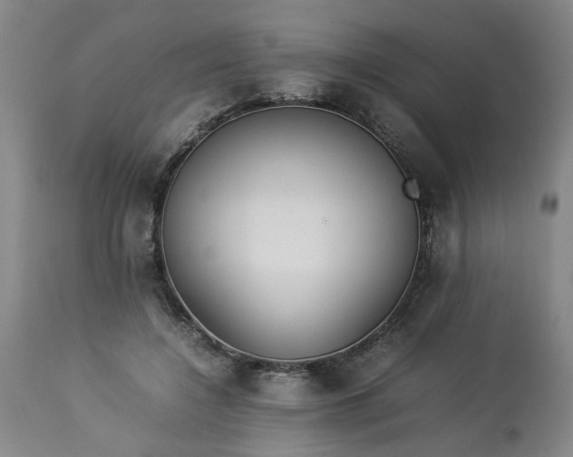 X0000113210548200909241426