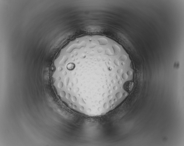 X0000113210549200909241426