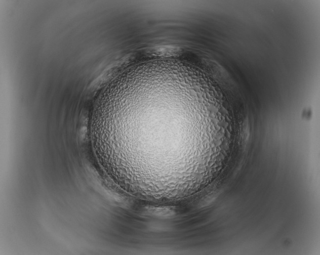 X0000113210553200909241426