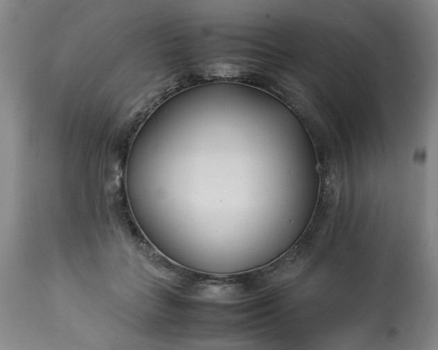 X0000113210555200909241426