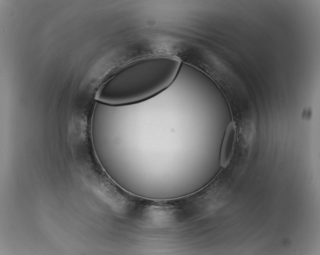 X0000113210556200909241426