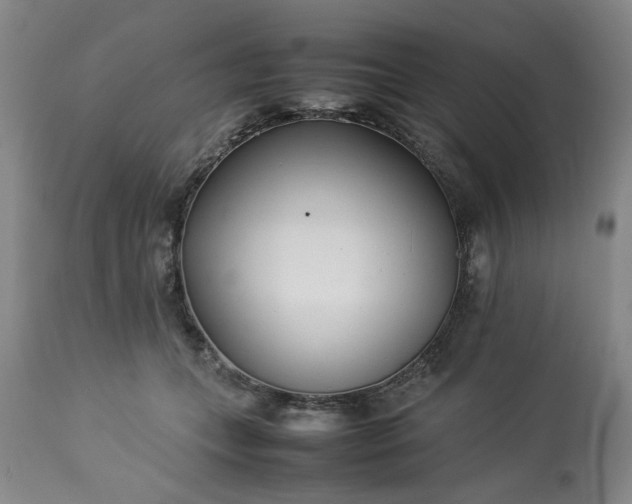 X0000113210559200909241426