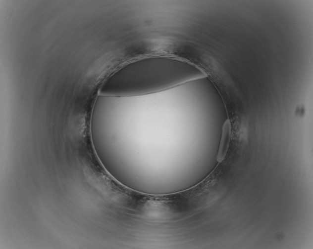 X0000113210560200909241426