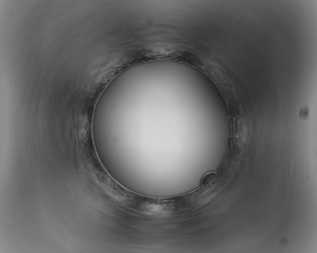 X0000113210563200909241426