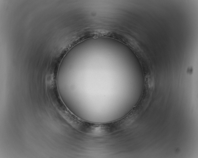 X0000113210564200909241426