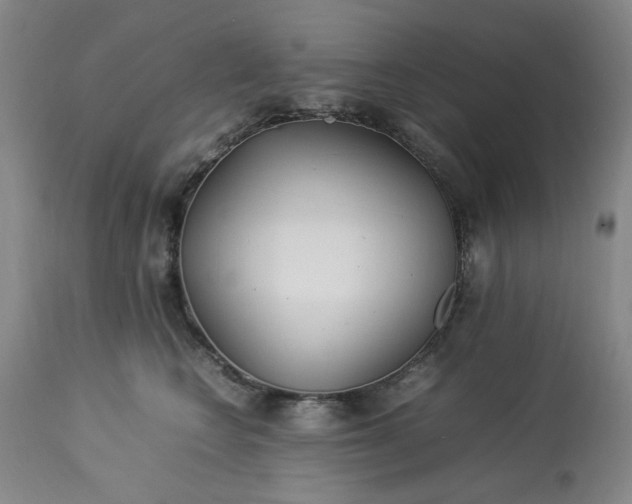 X0000113210566200909241426