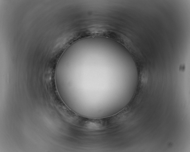 X0000113210567200909241426