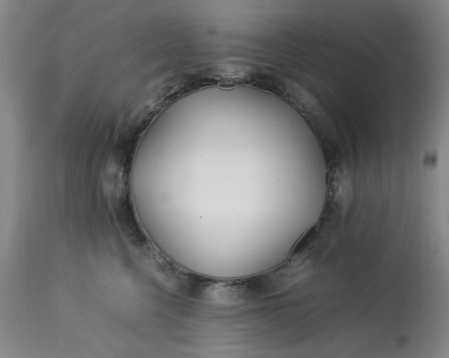 X0000113210568200909241427