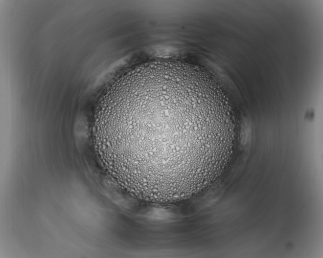 X0000113210569200909241427