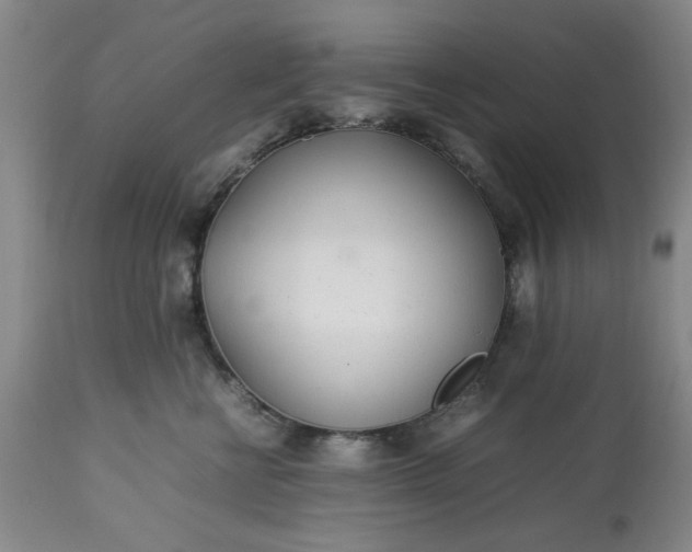 X0000113210570200909241427