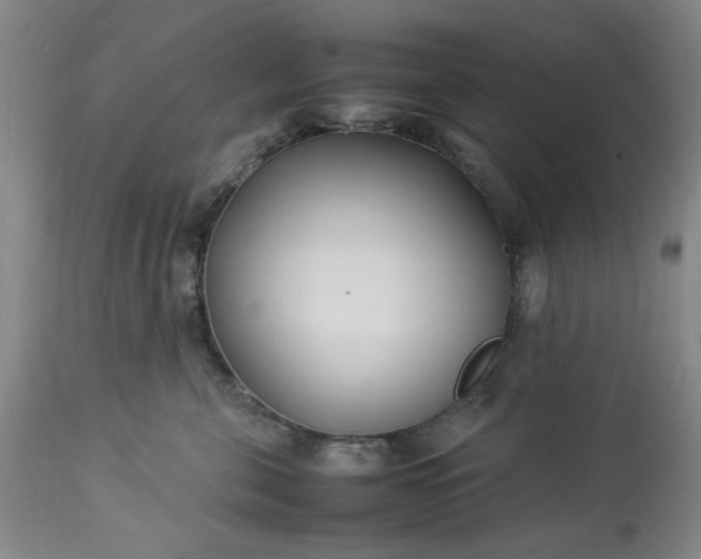 X0000113210571200909241427