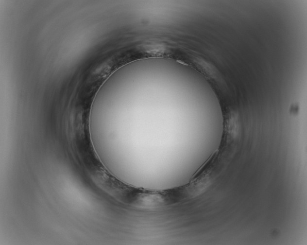 X0000113210572200909241427