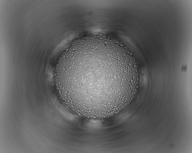 X0000113210573200909241427