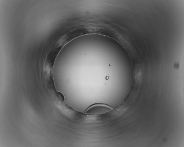 X0000113210574200909241427