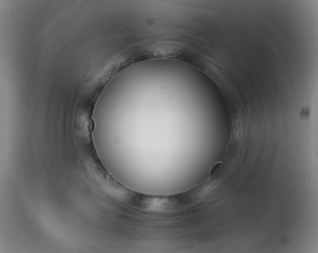 X0000113210575200909241427