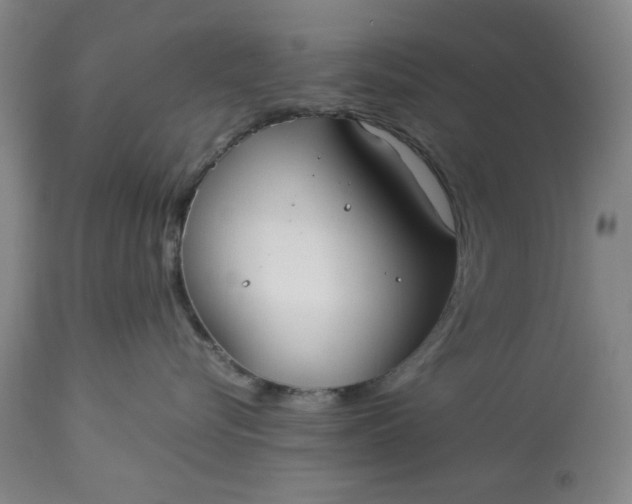 X0000113210576200909241427