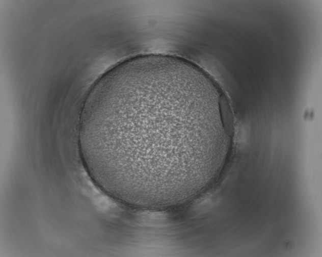 X0000113210577200909241426