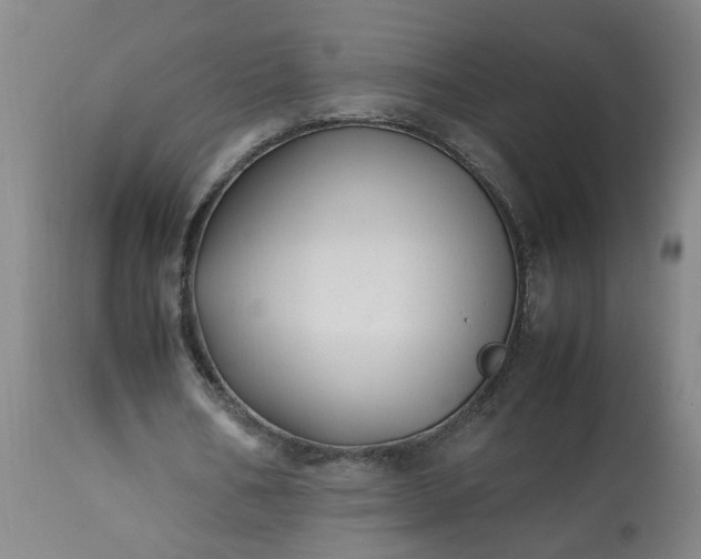 X0000113210578200909241426