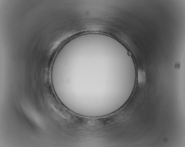 X0000113210579200909241426