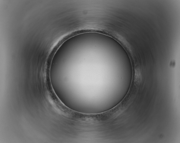 X0000113210580200909241426