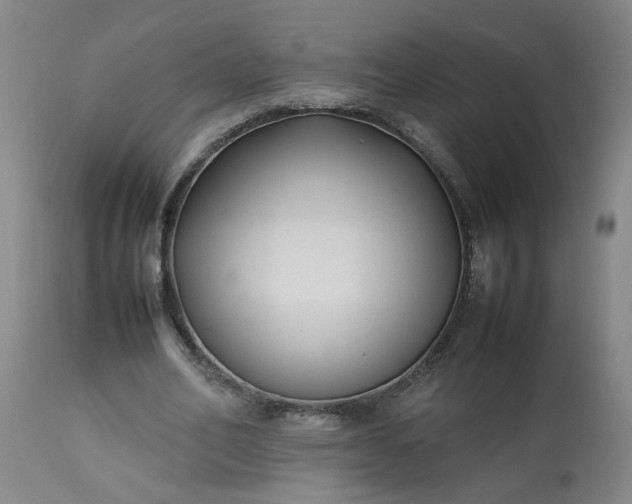 X0000113210582200909241426