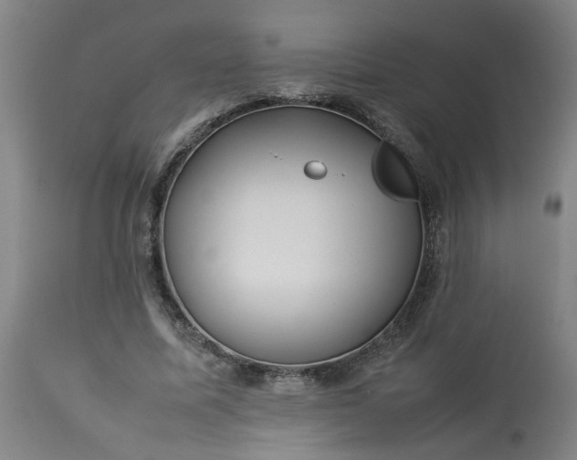 X0000113210587200909241426