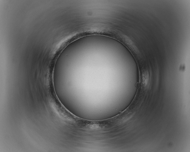 X0000113210588200909241426