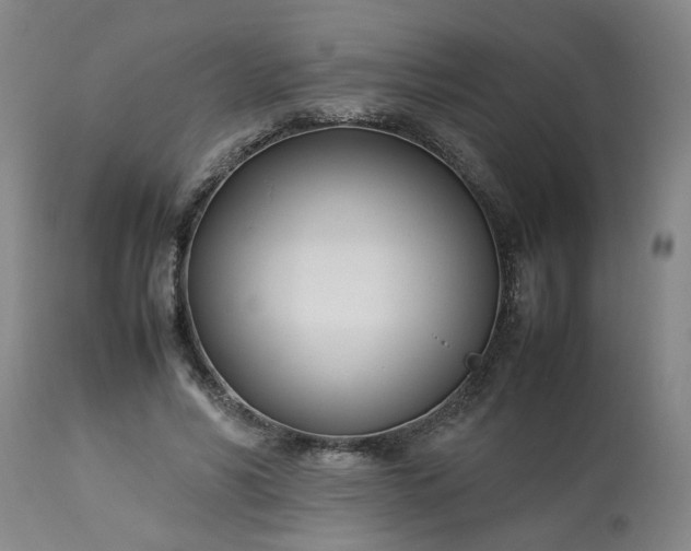 X0000113210590200909241426