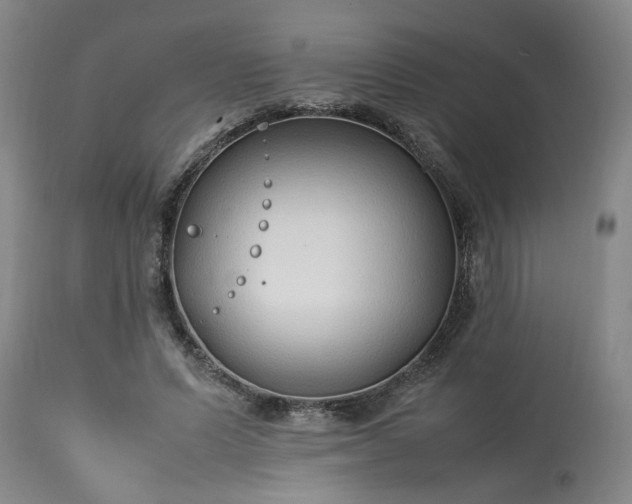 X0000113210591200909241426