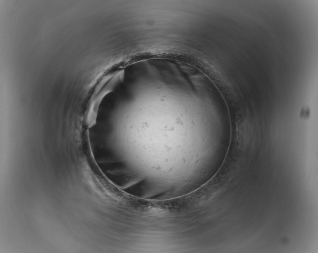 X0000113210592200909241426