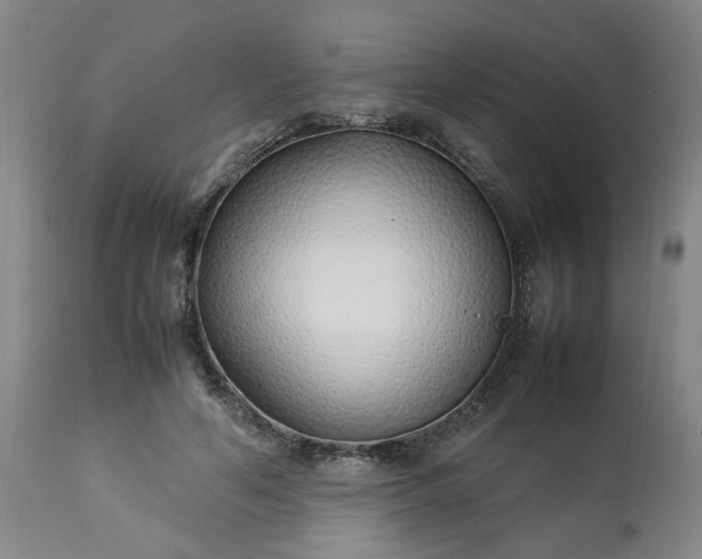 X0000113210594200909241426