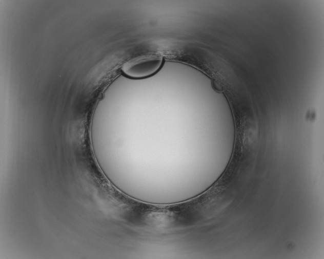 X0000113210595200909241426