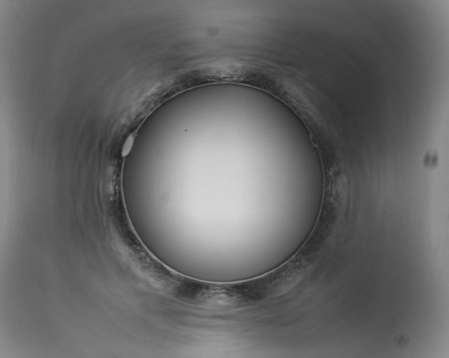 X0000113210597200909241426