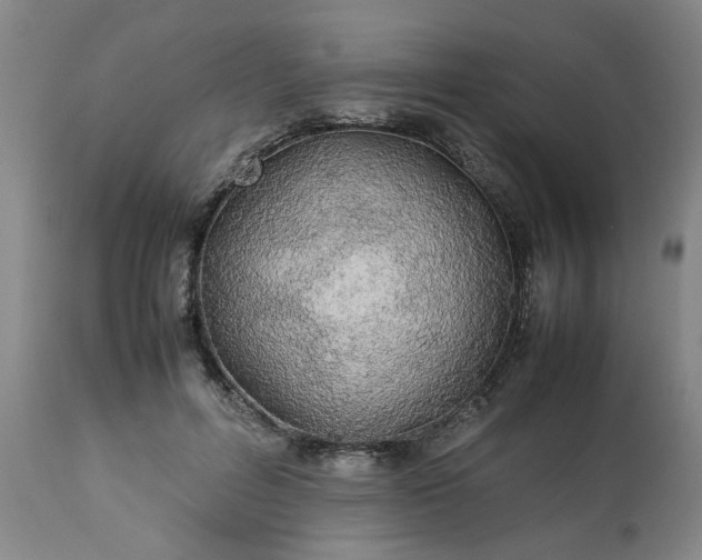 X0000113210600200909241426